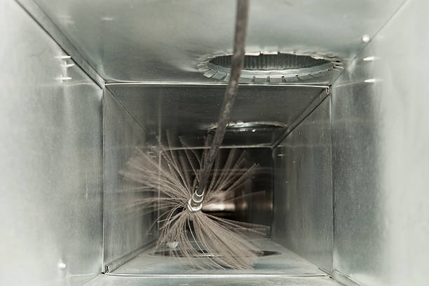 Best Affordable Air Duct Cleaning  in Holt, AL