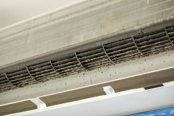 Best HVAC Air Duct Cleaning  in Holt, AL