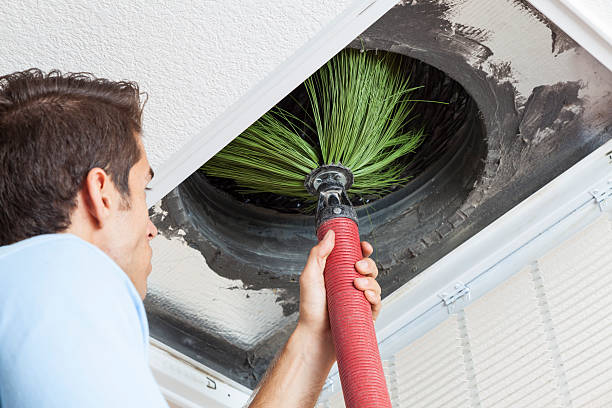 Best Commercial Air Duct Cleaning  in Holt, AL