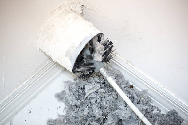 Best HVAC System Cleaning  in Holt, AL