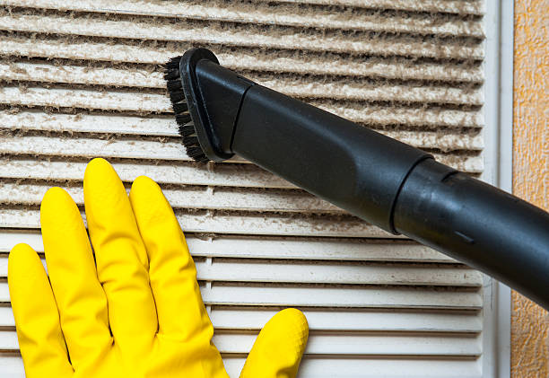 Best Air Duct Inspection  in Holt, AL