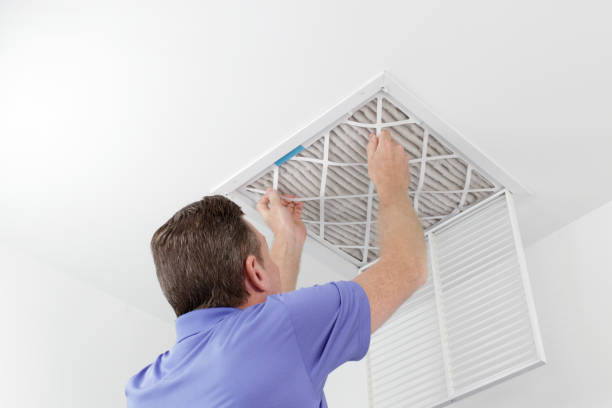 Best Air Duct Cleaning Near Me  in Holt, AL